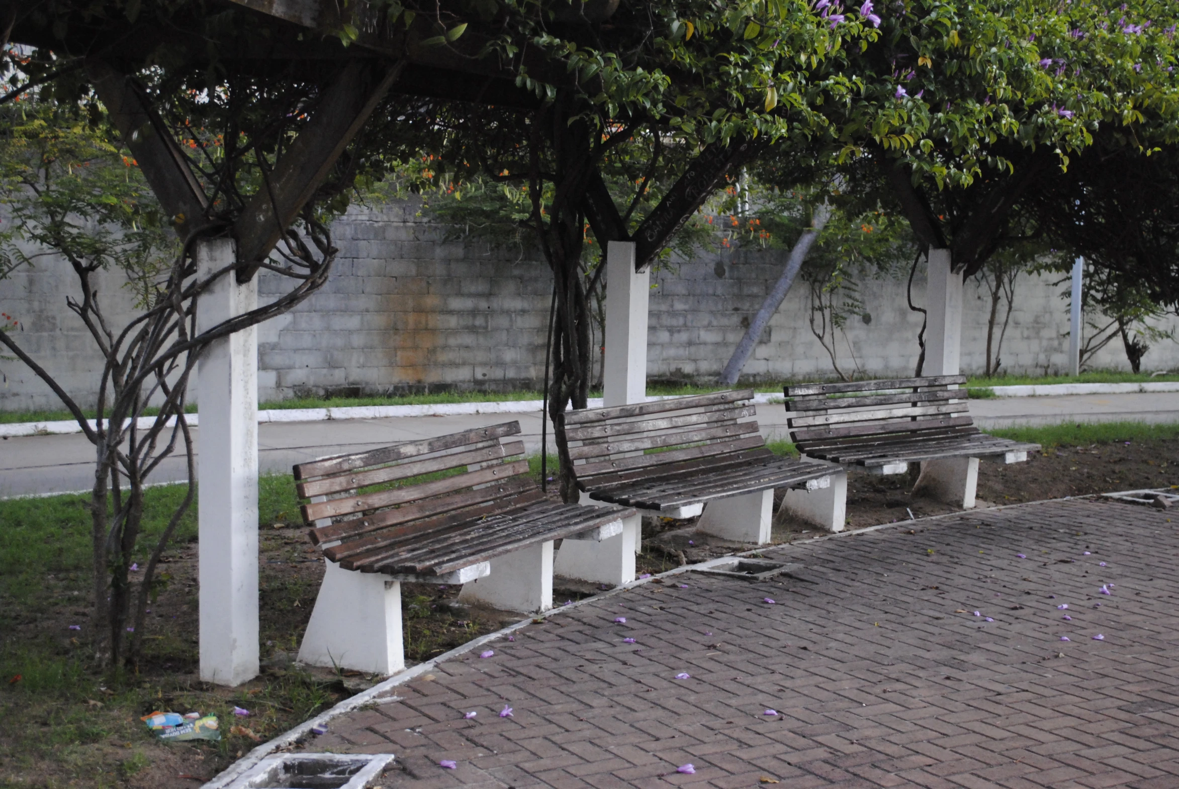 two wooden benches sitting side by side between brick walls