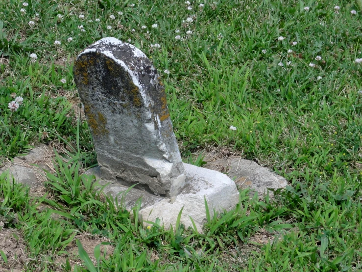 a rock is resting on the grass in front of some flowers