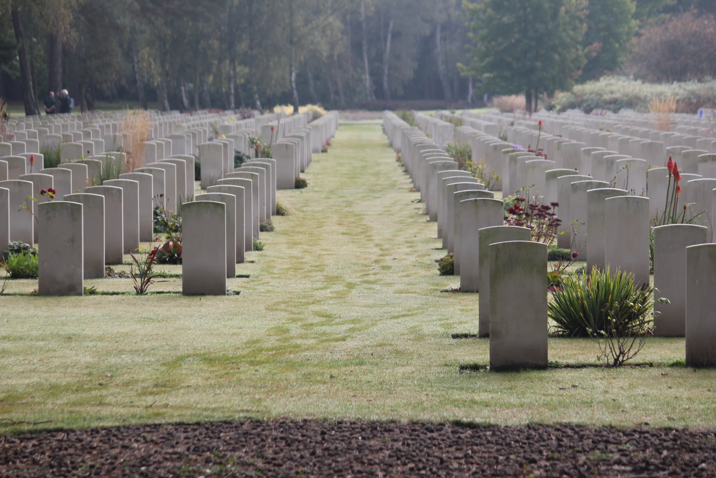 there are many cement urns on the grass