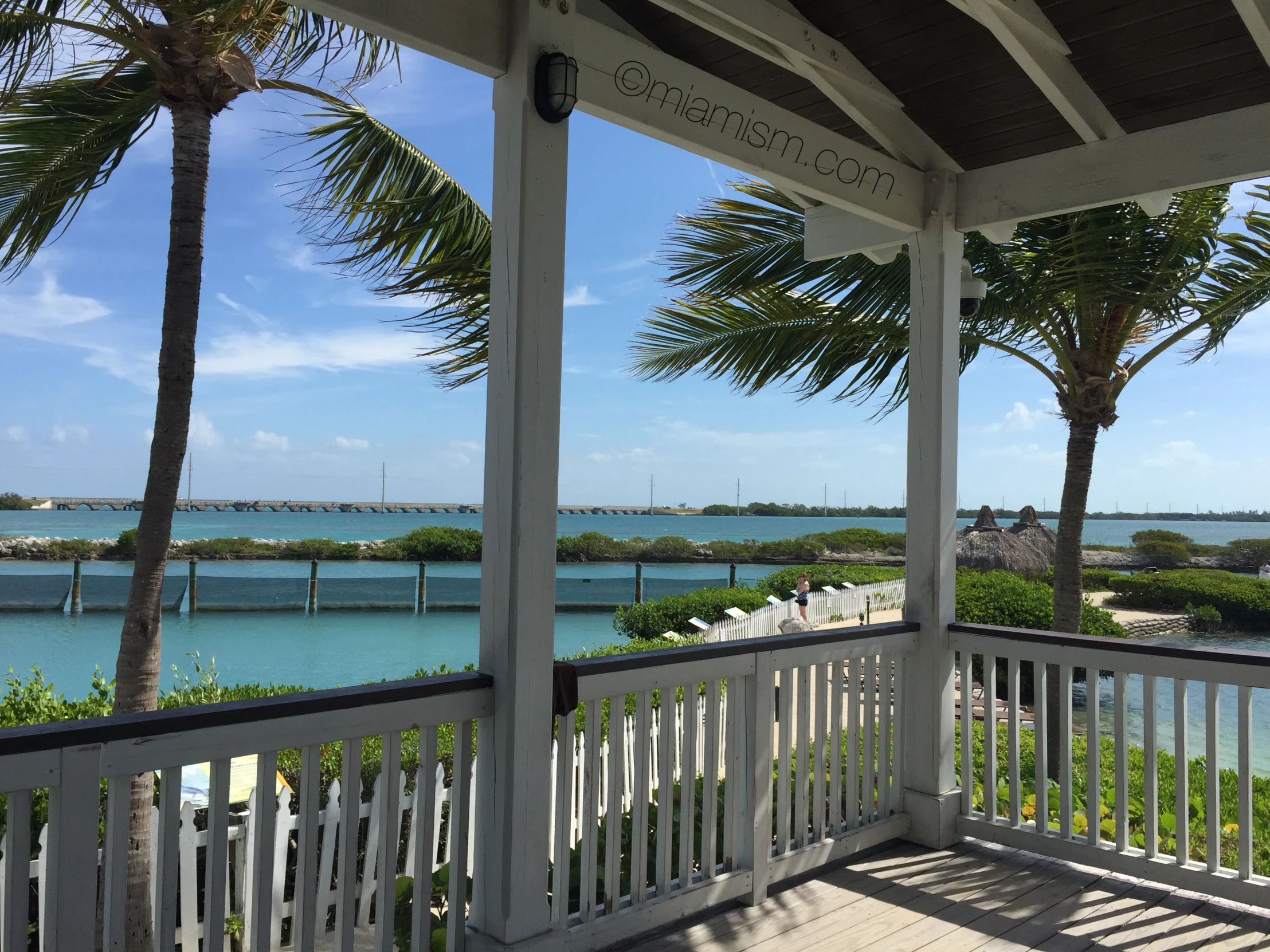 a porch with palm trees that have just opened and is overlooking the water