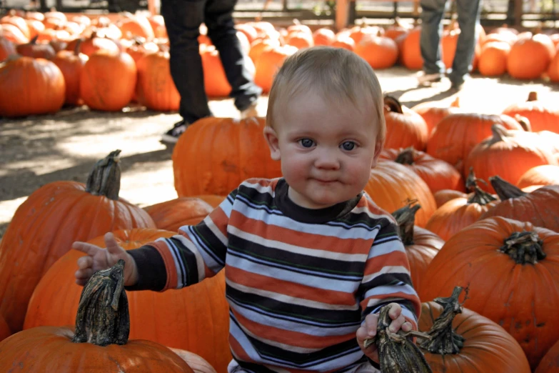 a baby standing between a pile of pumpkins