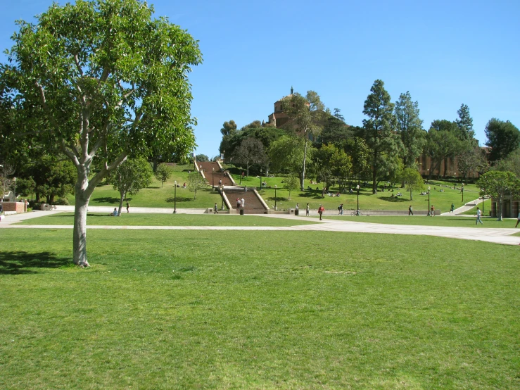 park with children playground in a wooded area