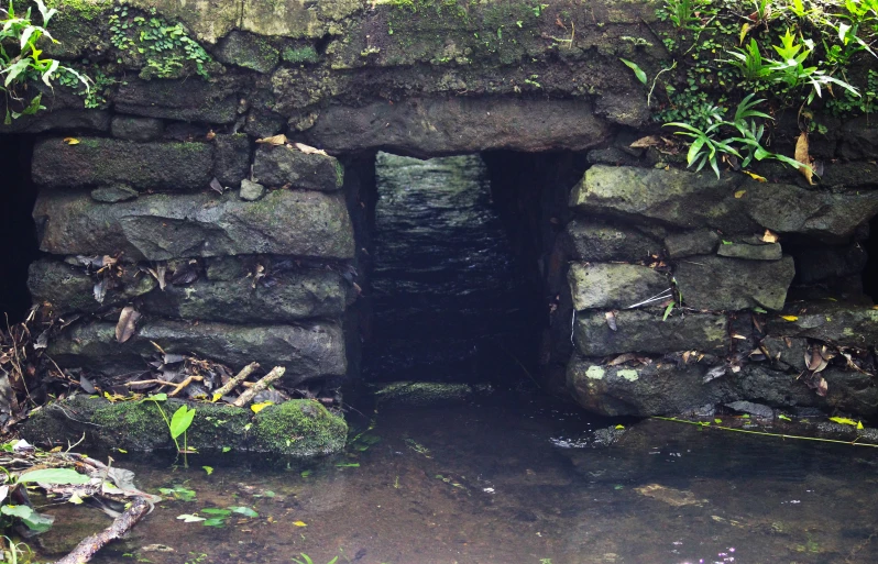 a large stone tunnel in a mossy and dirt area