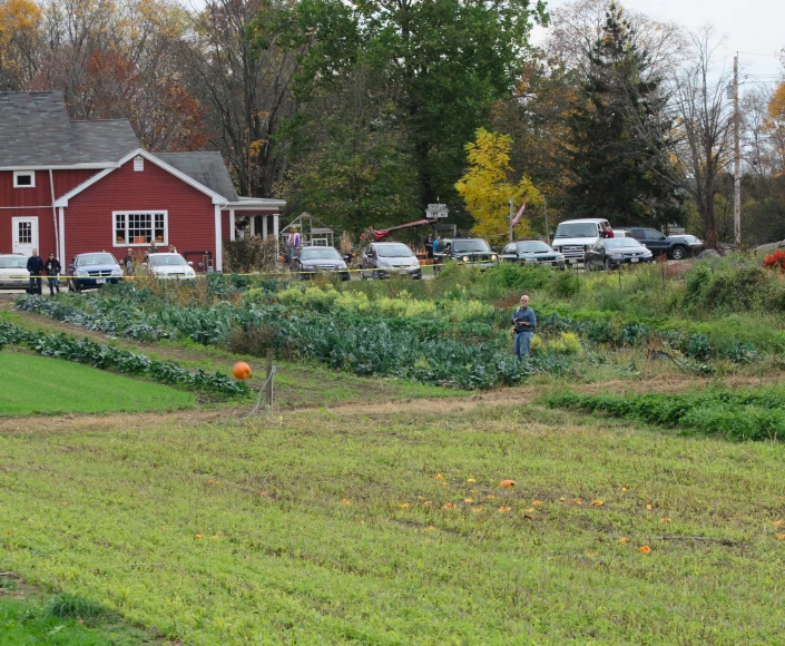 cars are driving in the road near a large garden area