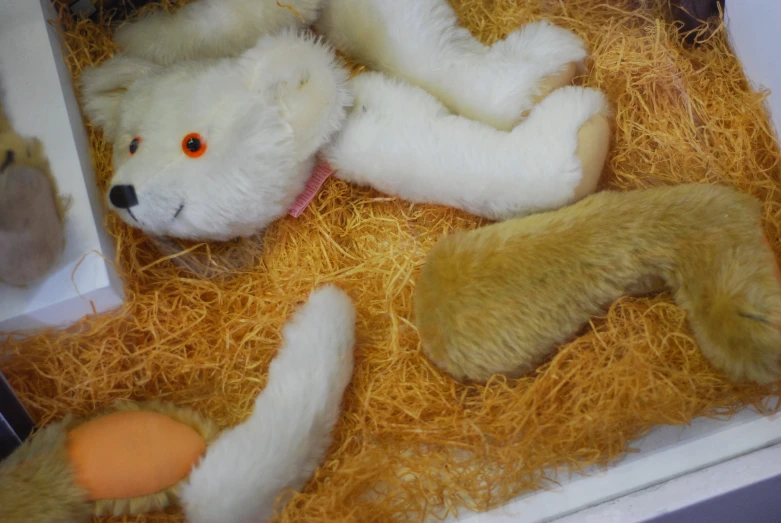 a teddy bear is curled up in the hay