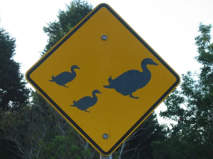 a yellow duck crossing sign sitting on the side of a road