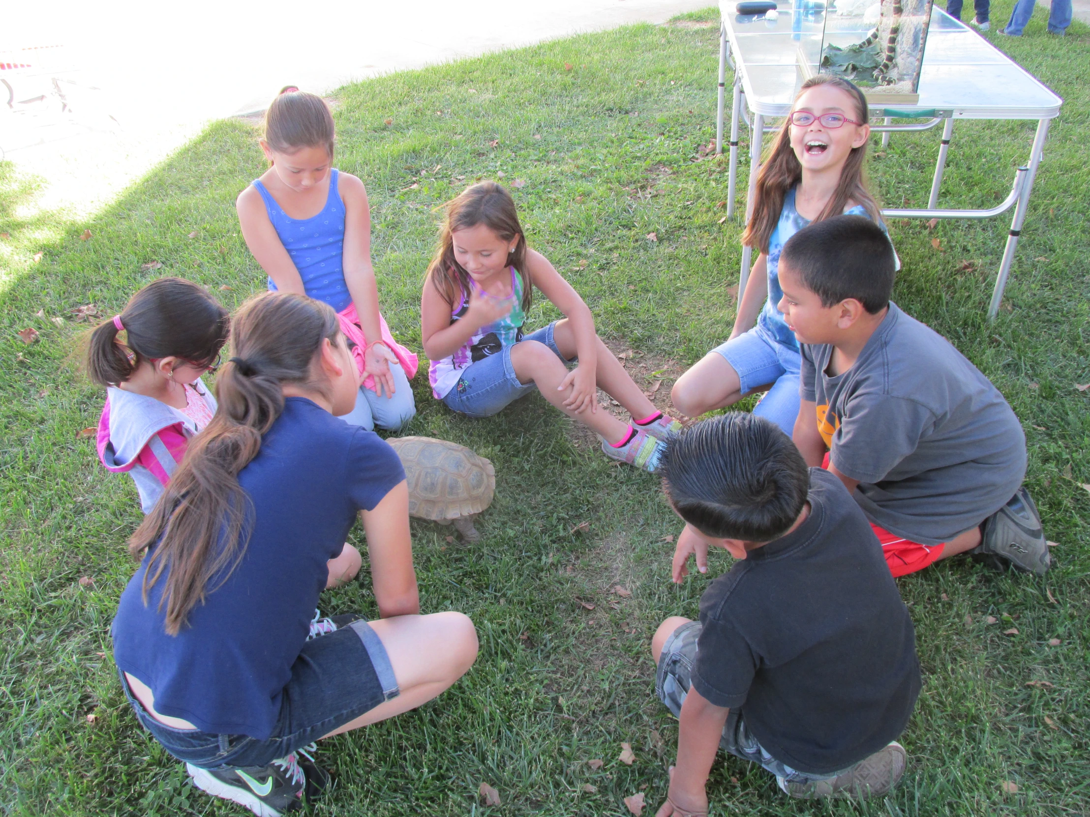 six young s sit on the grass with a backpack