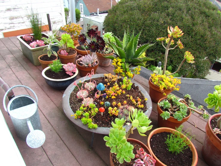 a table is filled with various kinds of potted plants