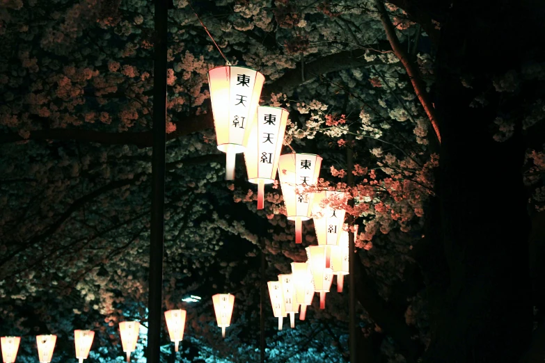 a couple of lamps that are hanging on the side of a tree