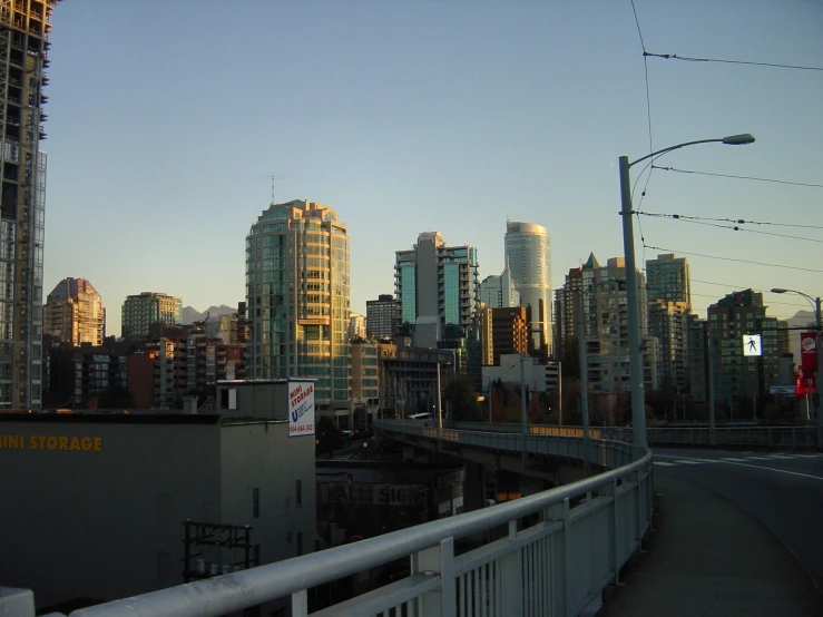 a large bridge and city skyline is visible in the distance