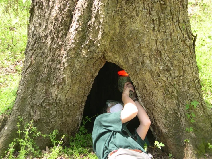 a person has their head inside a tree