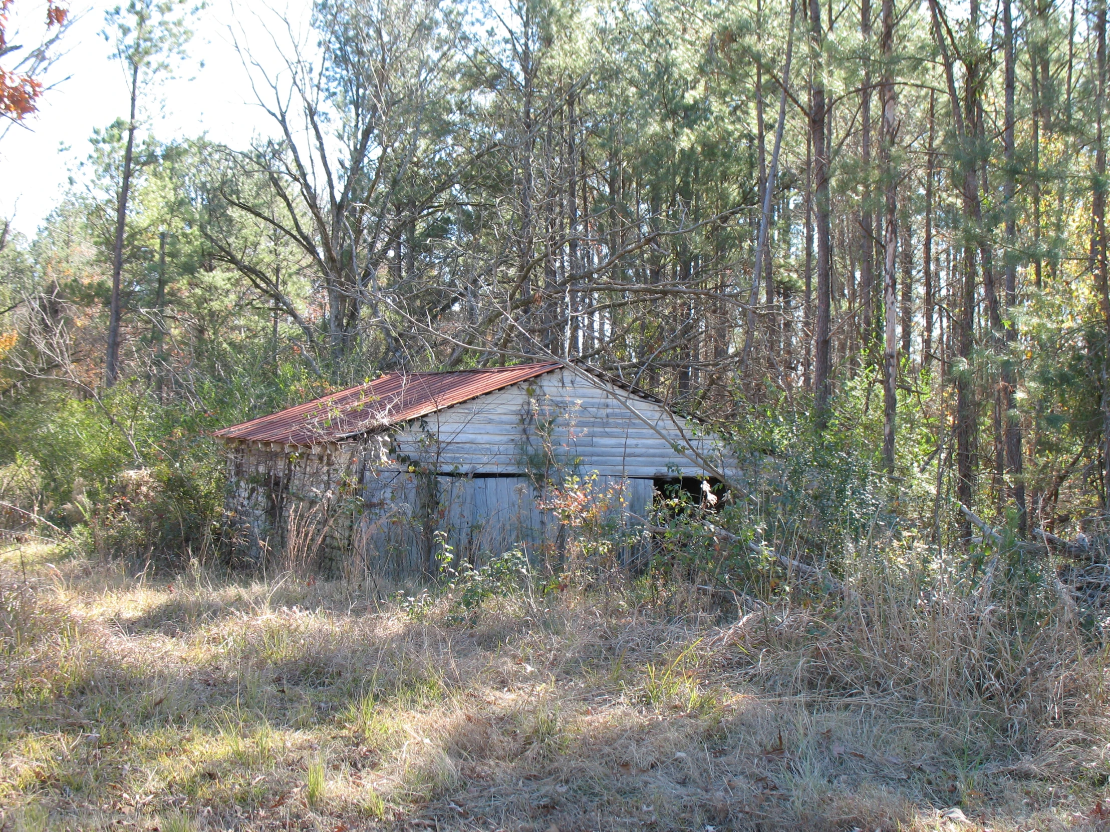 an old building is standing in the middle of some bushes and trees