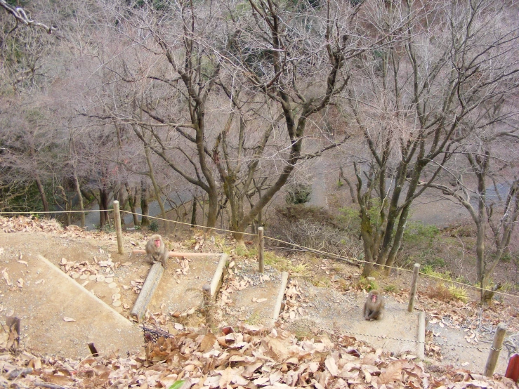 some concrete blocks are sitting on the ground