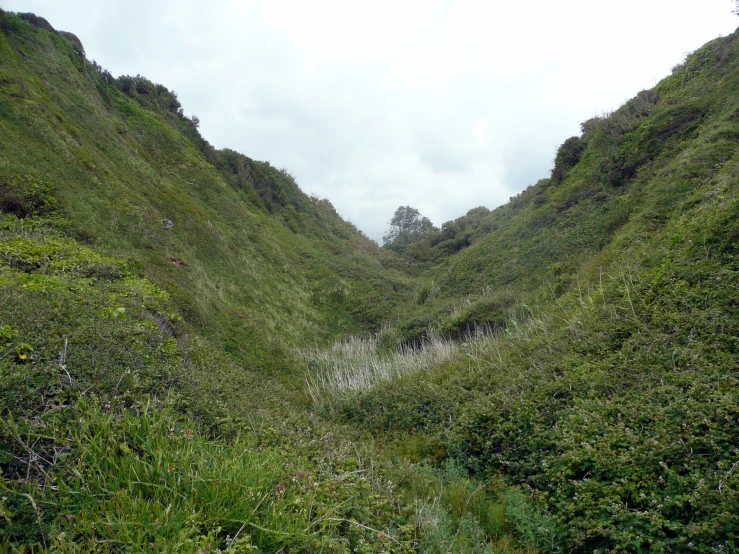 some very tall green hills with plants