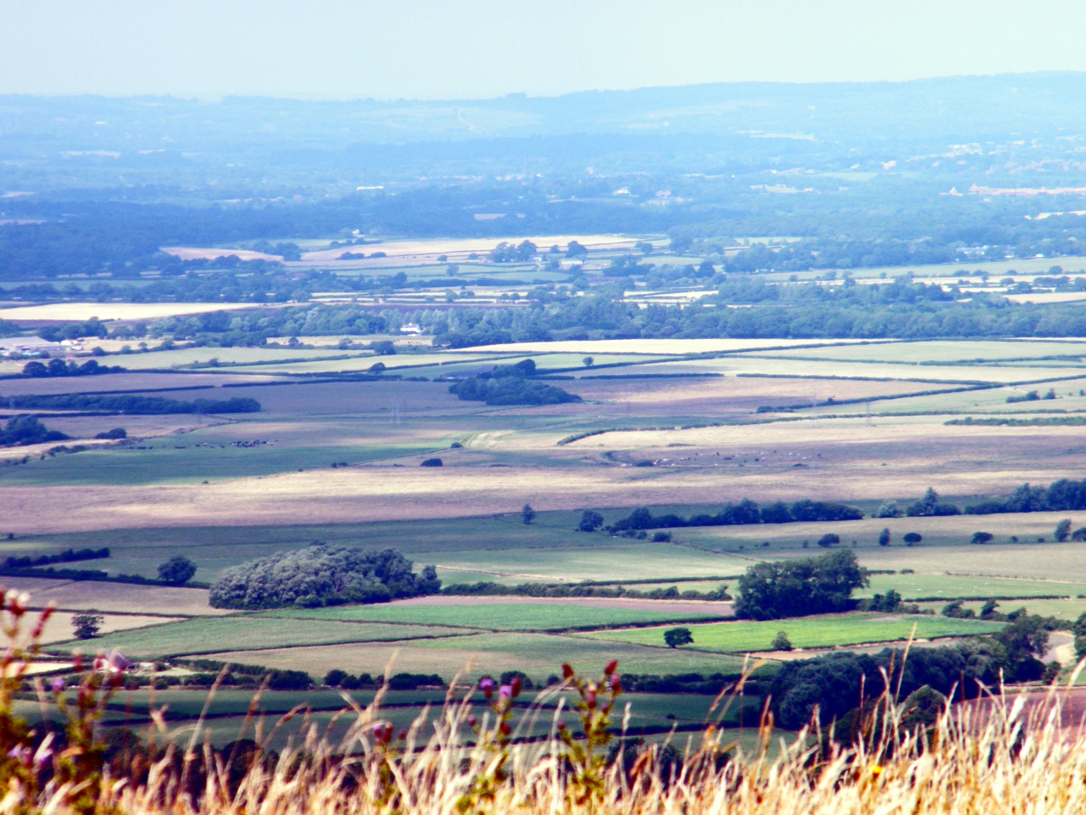 a scenic, looking down on a farm land