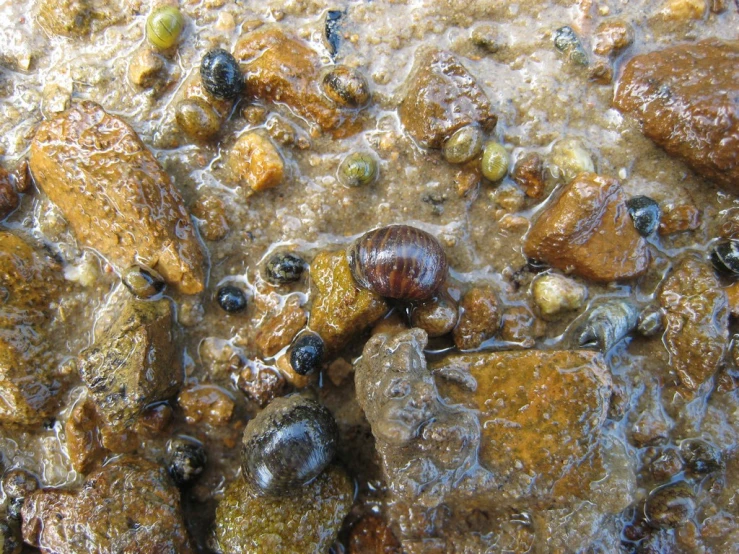 several rocks in a body of water near one another