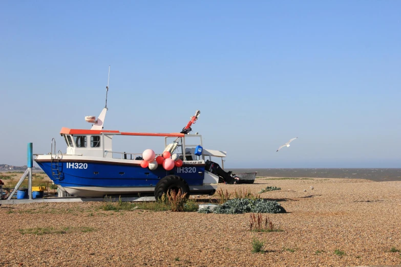 blue and white boat in dry grass and beach