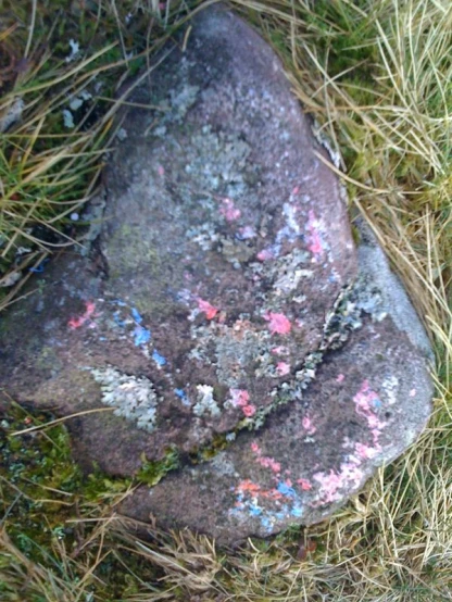 an old rock with lots of colorful splotkles