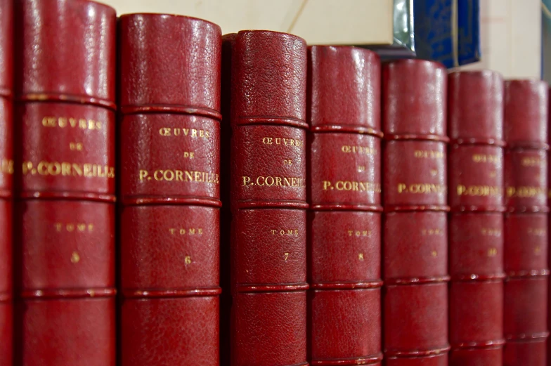 rows of law books are lined up against a shelf