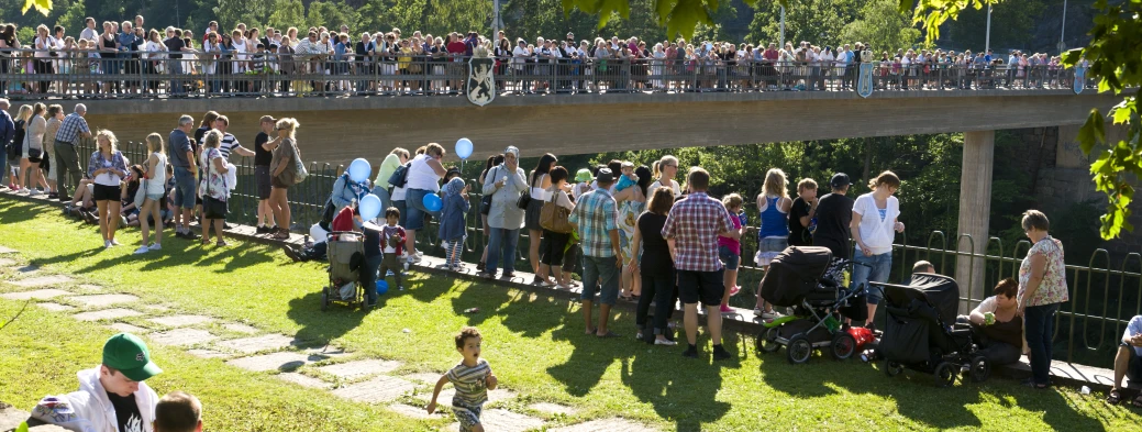 a lot of people that are standing in the grass