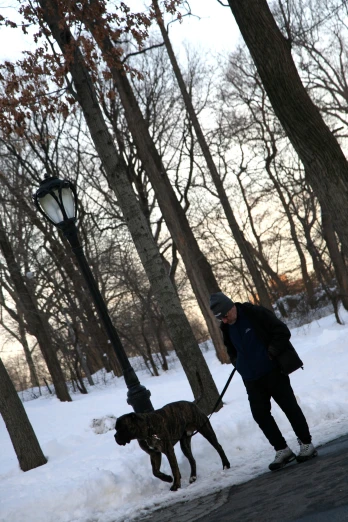 a man riding skis with his dog on a leash