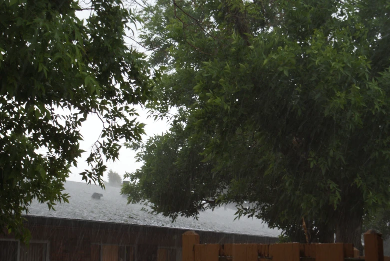 a brown fence next to some trees and buildings