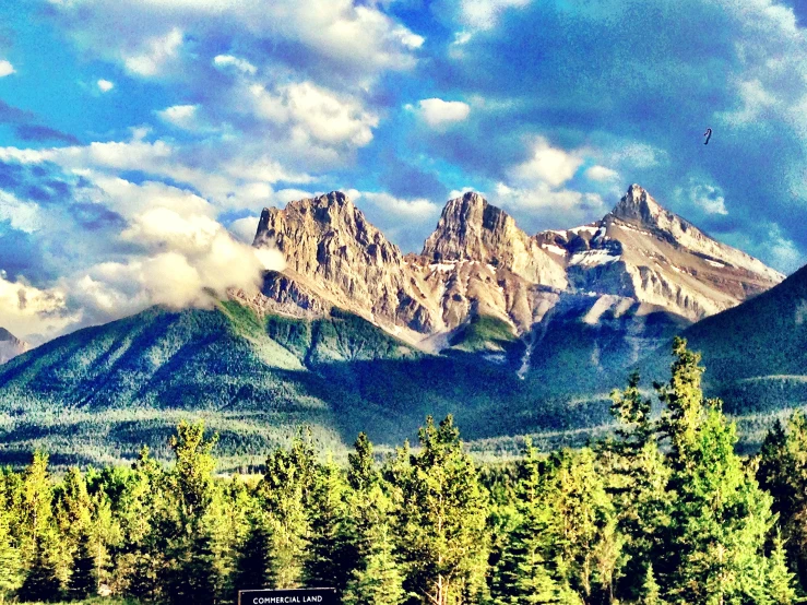 some trees and mountains under a cloudy sky