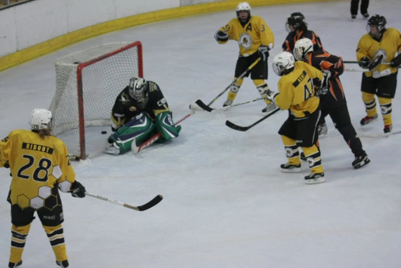 several hockey players and a referee are on the ice