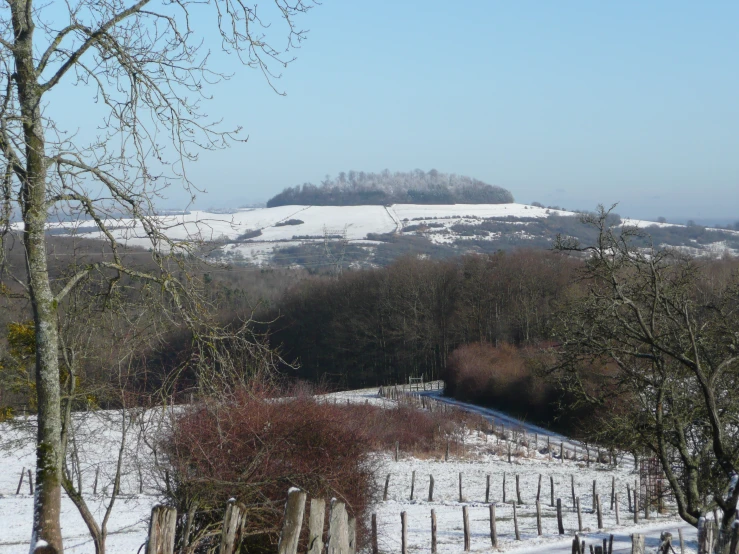 a hill with trees in the foreground and snow covered fields to the left