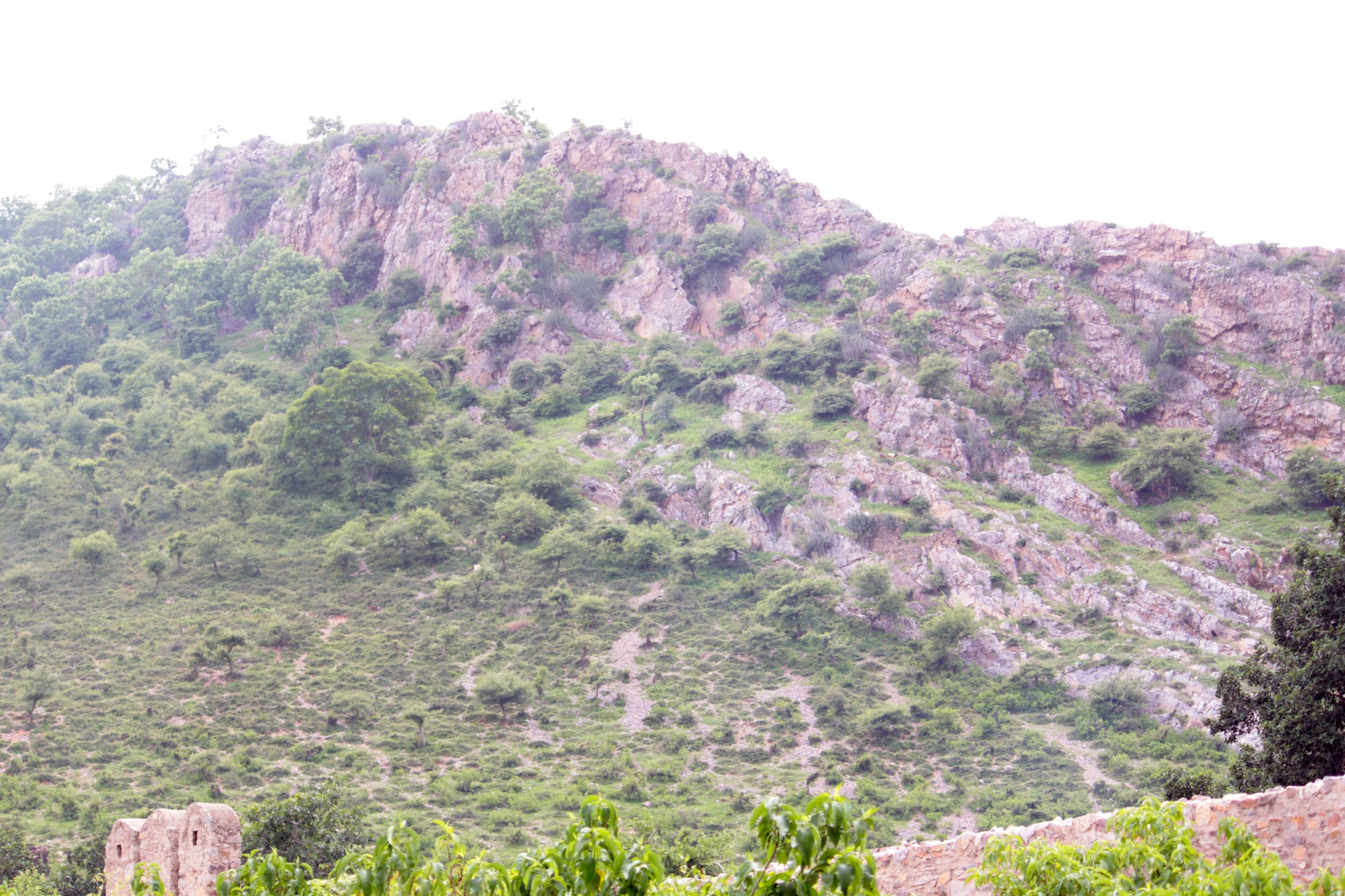 the mountain is covered in green vegetation