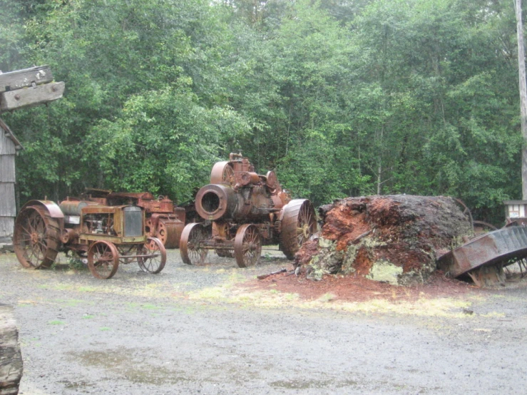 rusted cars parked in a lot near the woods