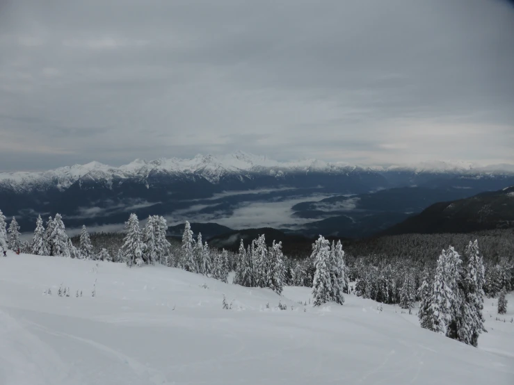 snowy mountain area with trees and mountains in the background