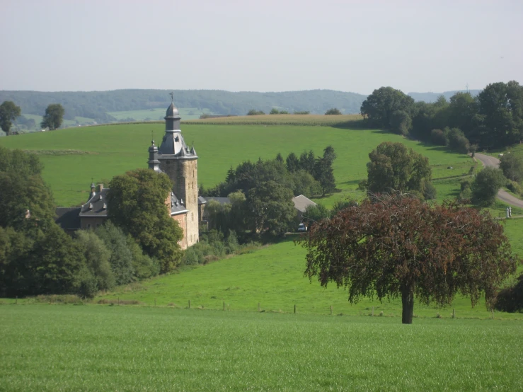 a lone tree in a green field next to a building