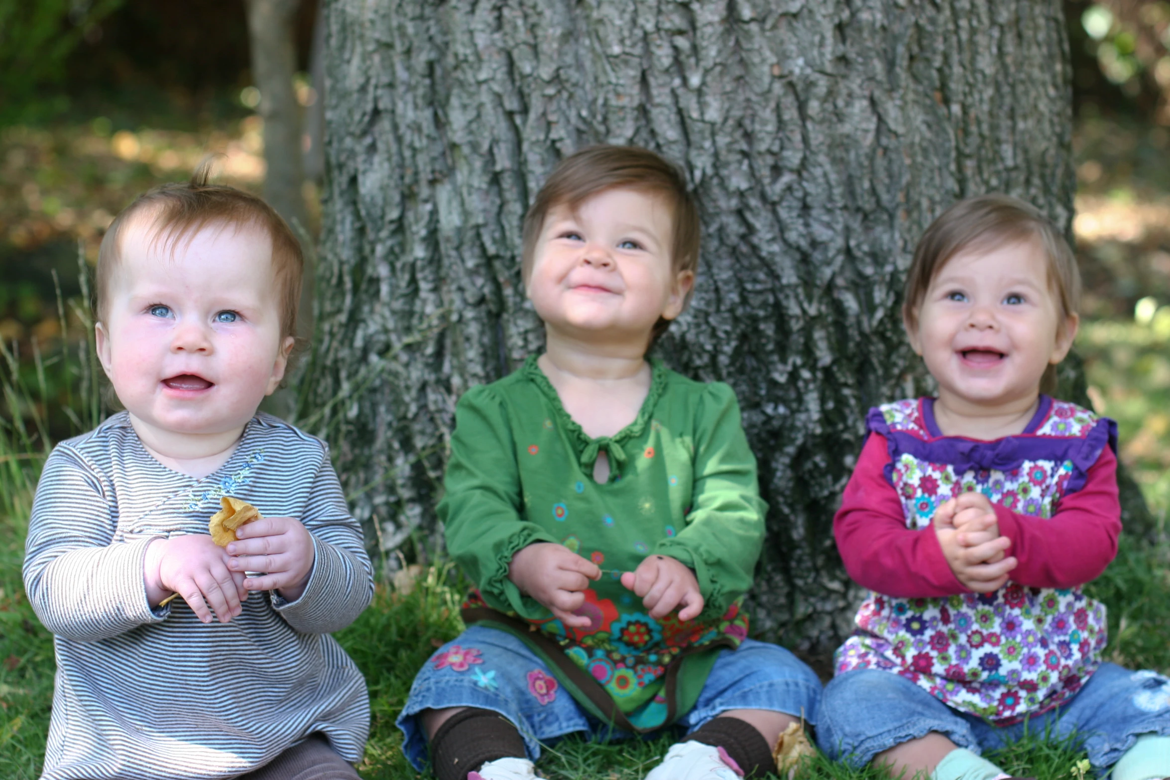 a group of children sitting next to a tree