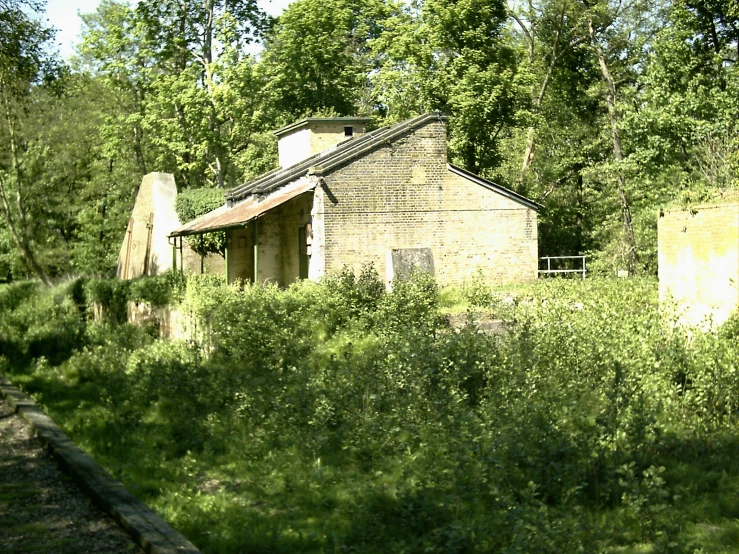 an old house overgrown with weeds and trees