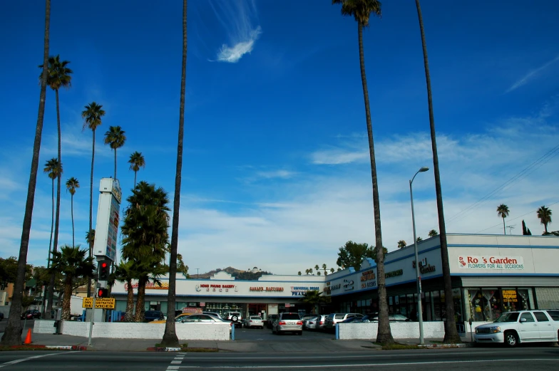 a city street has palm trees and a store