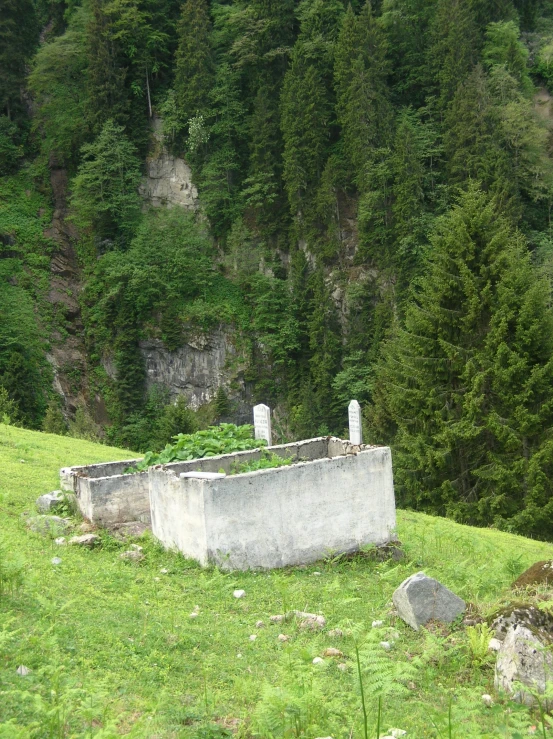 an old grave with bushes in the corner