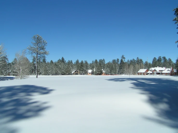 a snowy landscape with lots of trees and houses in the distance