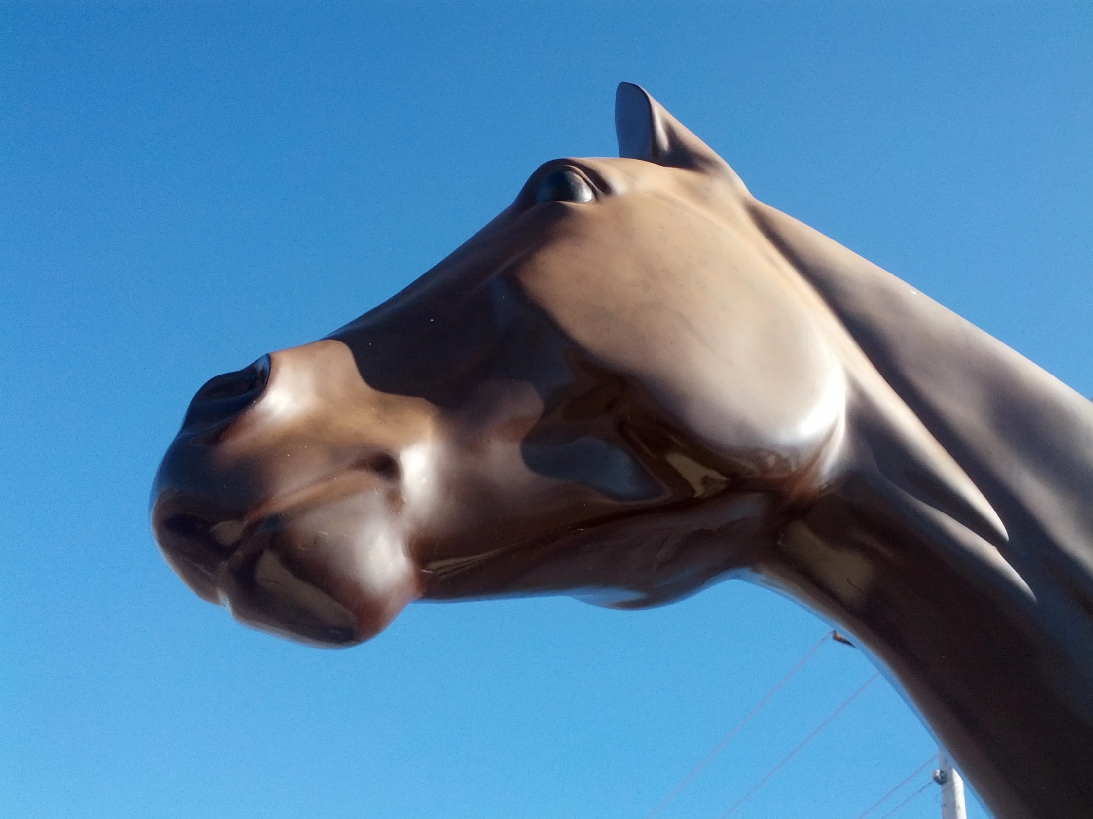 a close up of a metal horse head in a sunny day