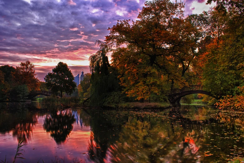 a scenic view of an autumnal day