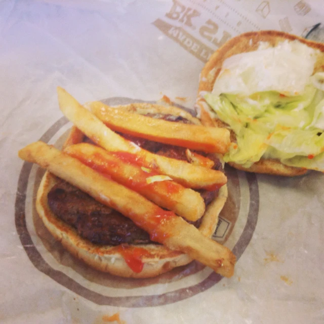 a small plate of fries with a burger on the side