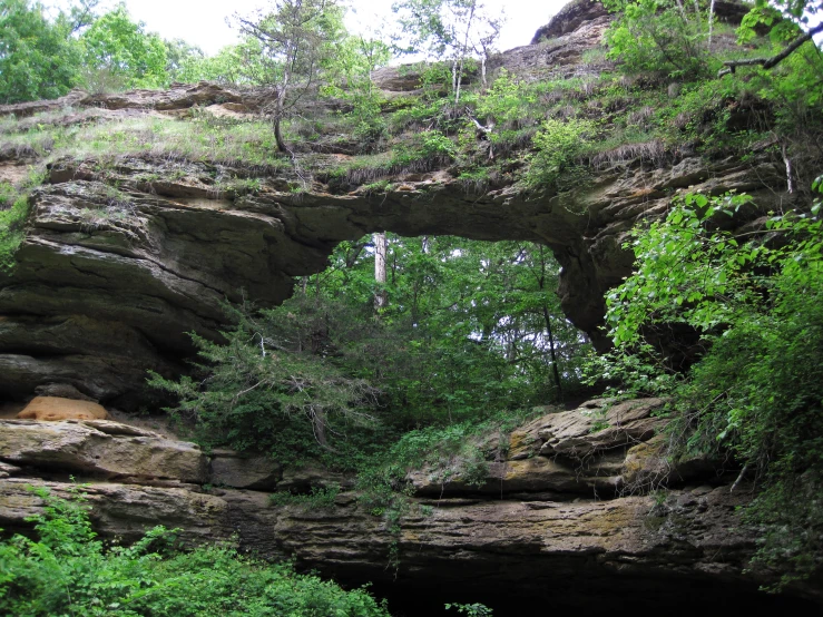 an arch in a cliff near the woods