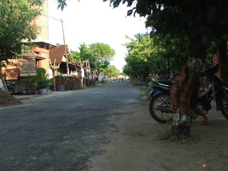 the bike is parked along the tree lined road