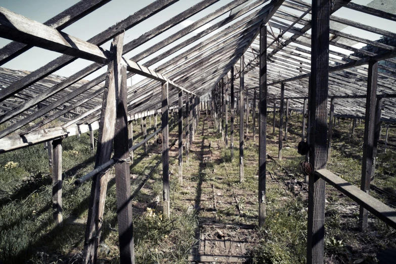 an old wooden structure with many windows and plants in it