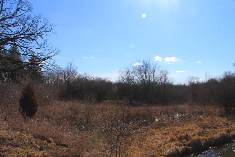 a sunny day in the countryside with a small stream