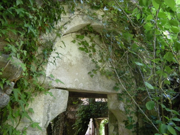 a large cement building with vines overhanging it