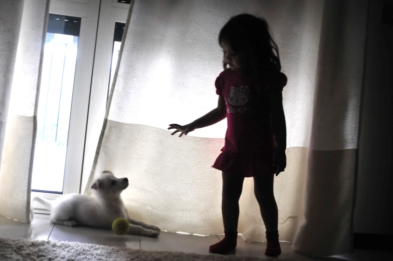 a little girl is standing next to a cat