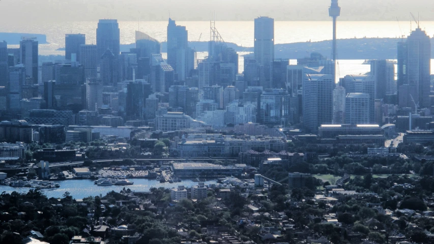 view of city buildings, lots of green trees and water