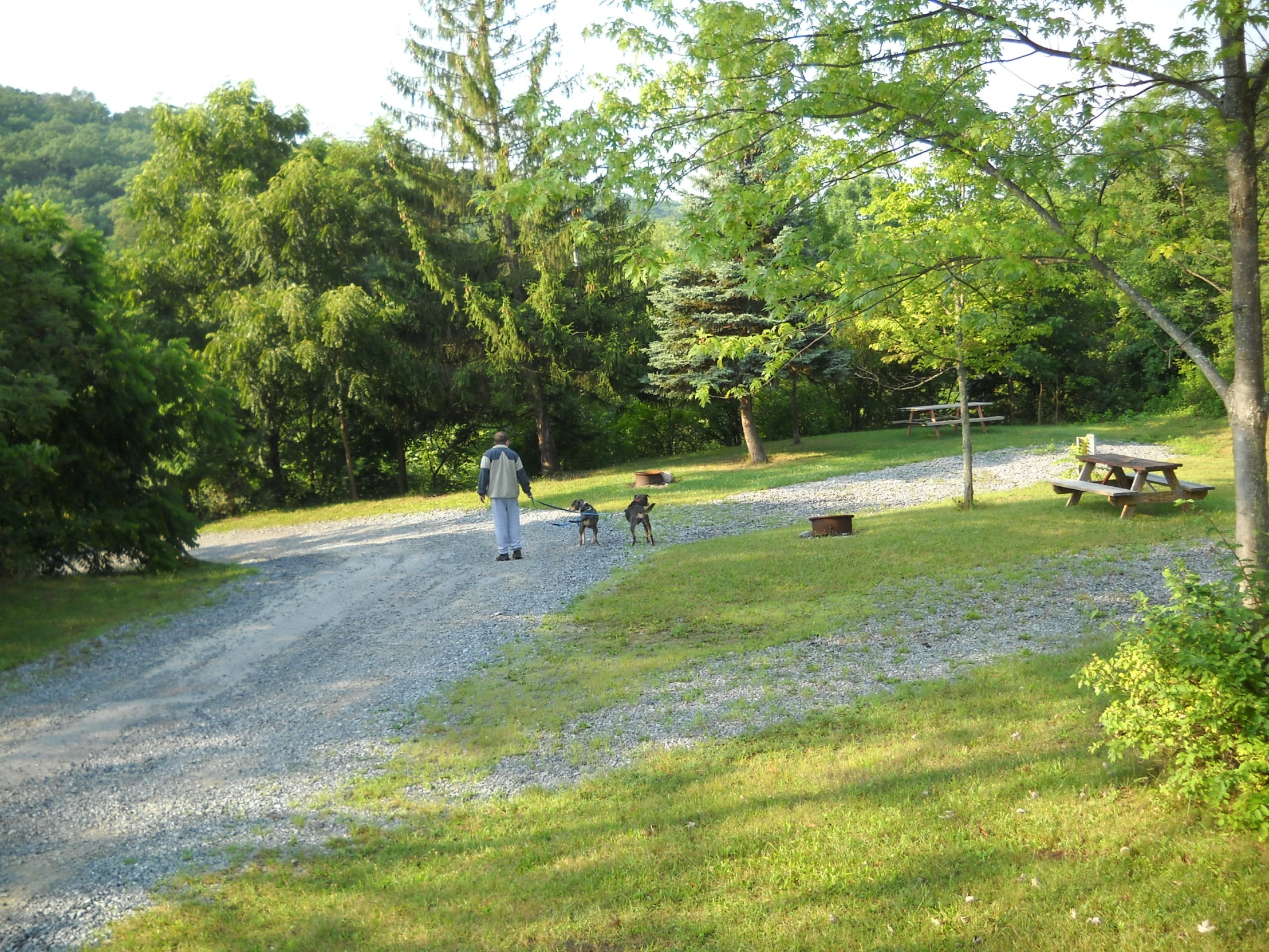 people in white clothes walking in a wooded area