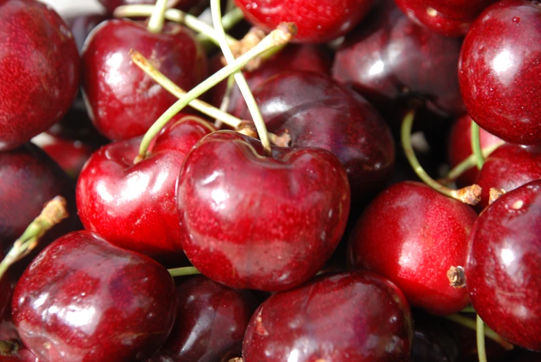 a bunch of red cherries with green stems